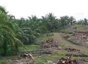 Masyarakat Keera Pertanyakan Uang Hasil Jual Beli Kelapa Sawit di Lahan 1934 Ha Selama 10 Tahun, Ditaksir Rp 696 M