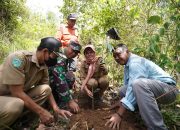 Tanam Pohon Demi Pertahankan Sumber Mata Air Karoba Laba dan Pontawa