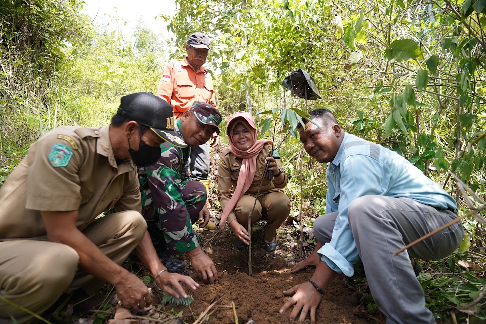 Tanam Pohon Demi Pertahankan Sumber Mata Air Karoba Laba dan Pontawa