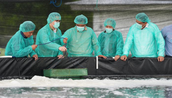 PT Bogatama Marinusa Produksi 400 Juta Benur
