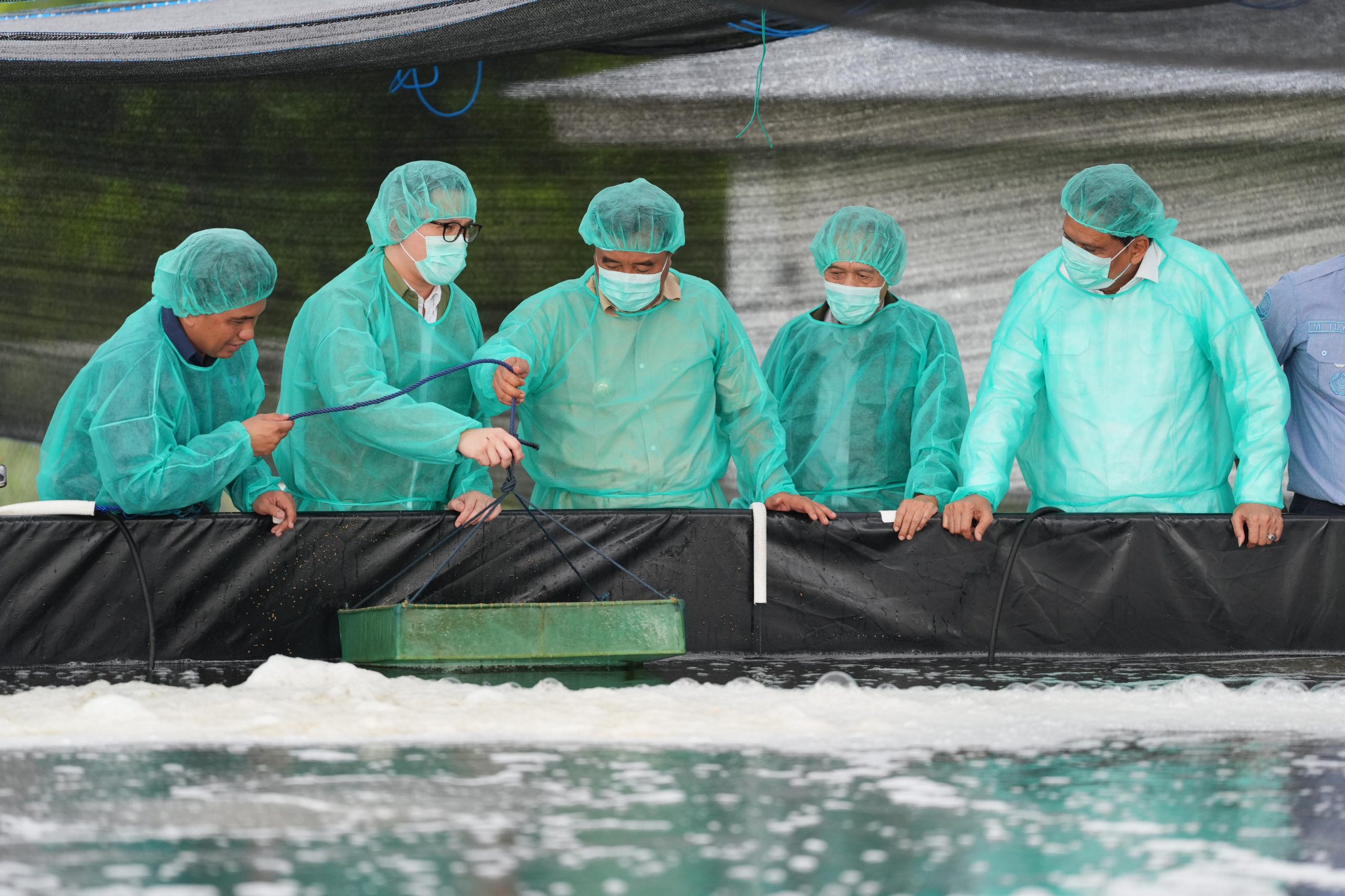 PT Bogatama Marinusa Produksi 400 Juta Benur