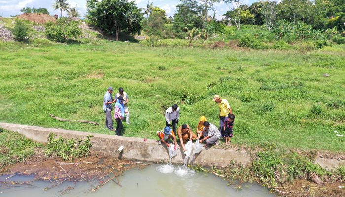 600 Ribu Benih Ikan Kembali Ditebar di Kabupaten Bone