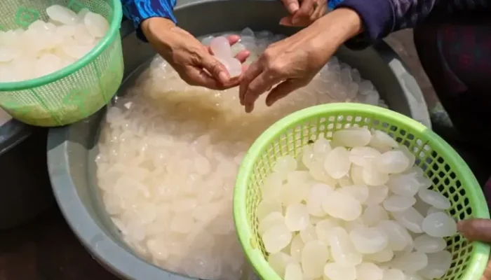Khasiat Kolang Kaling, Makanan Populer saat Buka Puasa