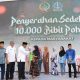 Cetak Sejarah! Pj Gubernur Sulsel Inisiasi Gerakan Sedekah Pohon, Pertama di Indonesia