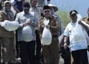 Pj Gubernur Sulsel Tabur 250 Ribu Benih Ikan di Bendungan Kalola dan Paselloreng