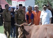 Pj Gubernur Sulsel Target Populasi Sapi di Wajo Meningkat Lewat Program Inseminasi Buatan
