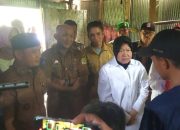 Menteri Tri Rismaharini, Sidak ke Sinjai Barat