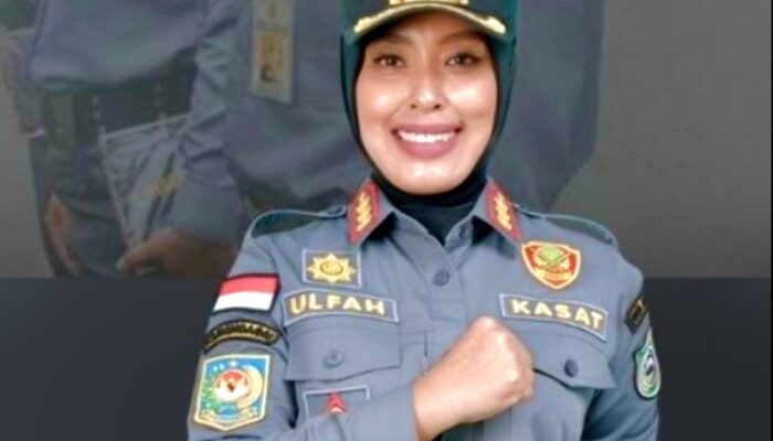 Satpol PP Parepare Akan Tertibkan Baliho yang Langgar Perda