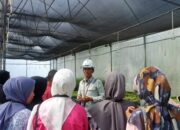 Pelatihan Kurikulum PT Vale, Kolaborasi untuk Pendidikan Berkualitas di Loeha Raya