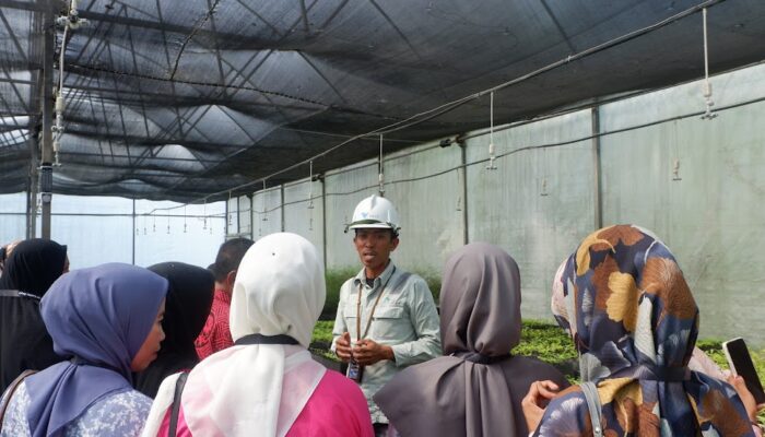 Pelatihan Kurikulum PT Vale, Kolaborasi untuk Pendidikan Berkualitas di Loeha Raya