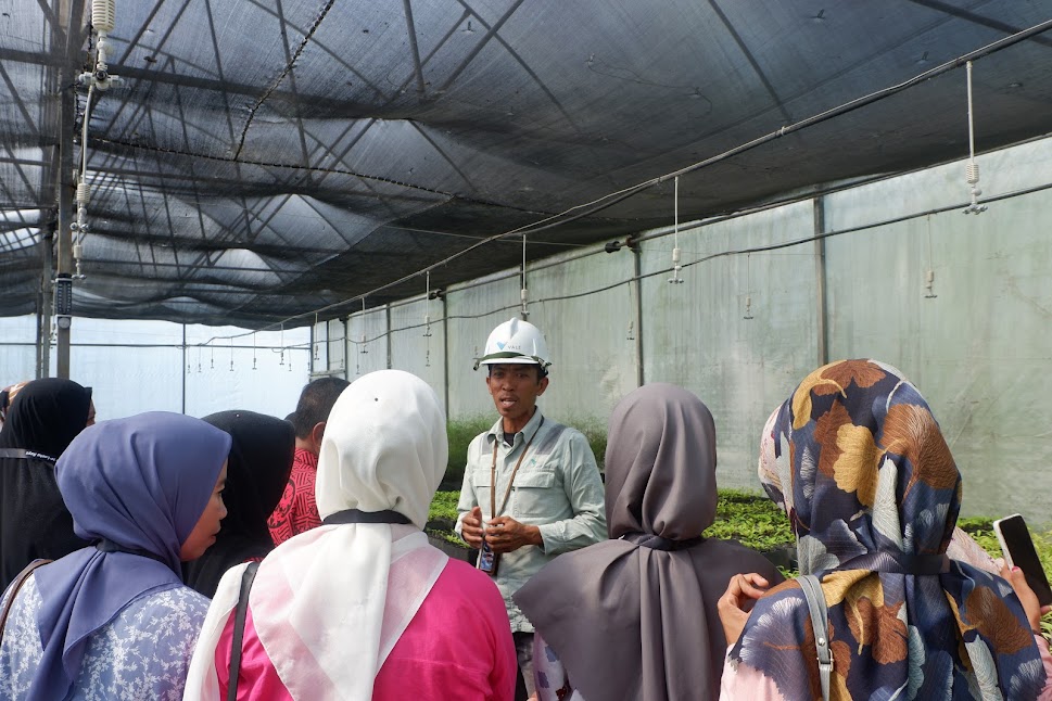 Pelatihan Kurikulum PT Vale, Kolaborasi untuk Pendidikan Berkualitas di Loeha Raya