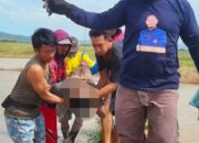 Penemuan Mayat di Tengah Sawah Diduga Keracunan Pestisida