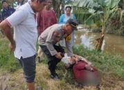 Petani di Sidrap Ditemukan Meninggal di Areal Sawah, Keluarga Tolak Autopsi