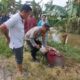 Petani di Sidrap Ditemukan Meninggal di Areal Sawah, Keluarga Tolak Autopsi