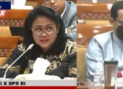 Profil Anita Jacob, Anggota DPR yang Marahi Nadiem Makarim