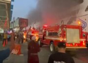 Pastikan Tak Ada Korban Jiwa, Pelni Apresiasi Dukungan Semua Pihak