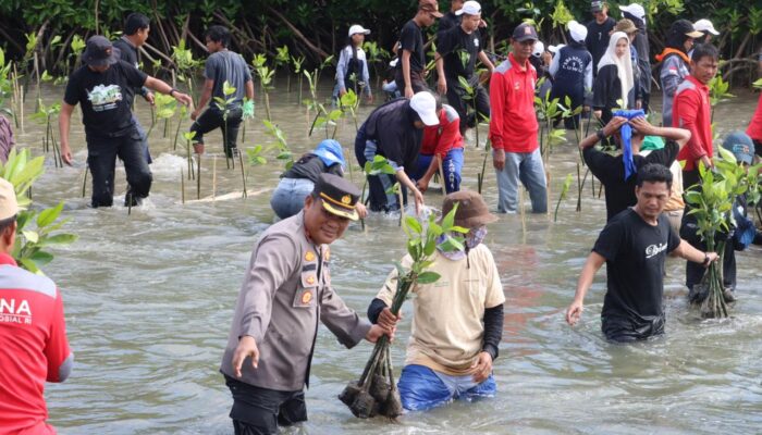 Peduli Lingkungan, Polres Luwu Hadiri Aksi Penanaman 10.001 Bibit Mangrove