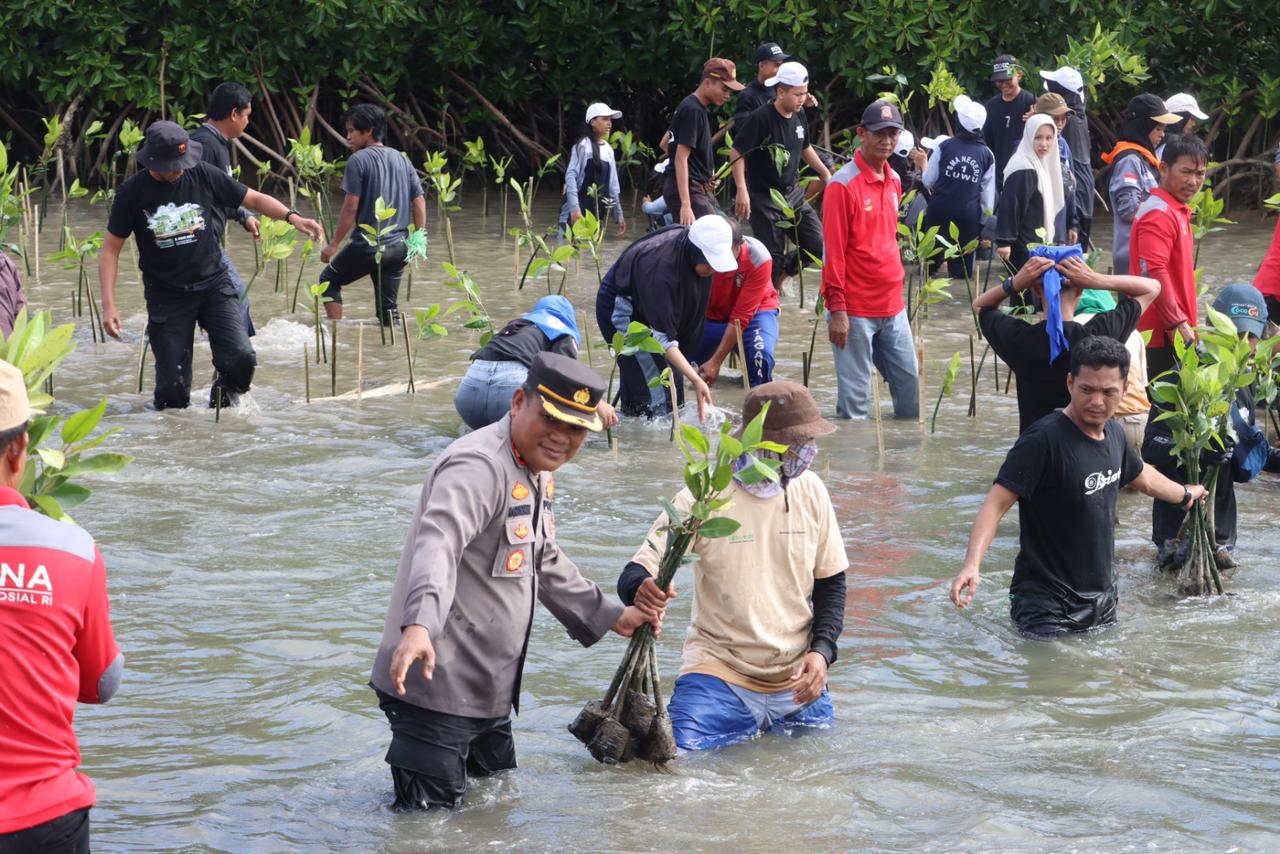 Peduli Lingkungan, Polres Luwu Hadiri Aksi Penanaman 10.001 Bibit Mangrove