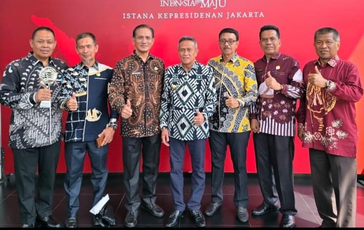Pemkab Bone Raih Penghargaan TPID dari Presiden Jokowi