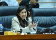 Tak Punya Backup Data PDN, Anggota DPR: Ini Kebodohan Nasional