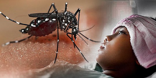 Wabah DBD Meningkat, Warga Kanyuara Merasa Diabaikan