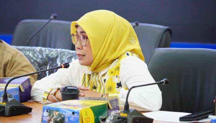 Fadriaty Perjuangkan Rumah Sakit Regional dan Taman Nasional di Luwu Raya