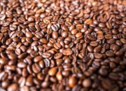 Manfaat dan Risiko Kopi untuk Kesehatan Jantung
