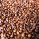 Manfaat dan Risiko Kopi untuk Kesehatan Jantung