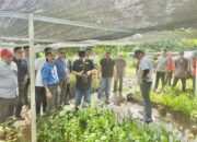 Pj Gubernur Bahtiar Boyong OPD Sulbar Studi Karya di Bulukumba