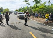 Kecelakaan Maut di Jalur Trans Luwu, 2 Pemotor Tewas