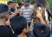 Pondok Tahfizul Qur’an Al Fayyadh Programkan Horseback Akademi