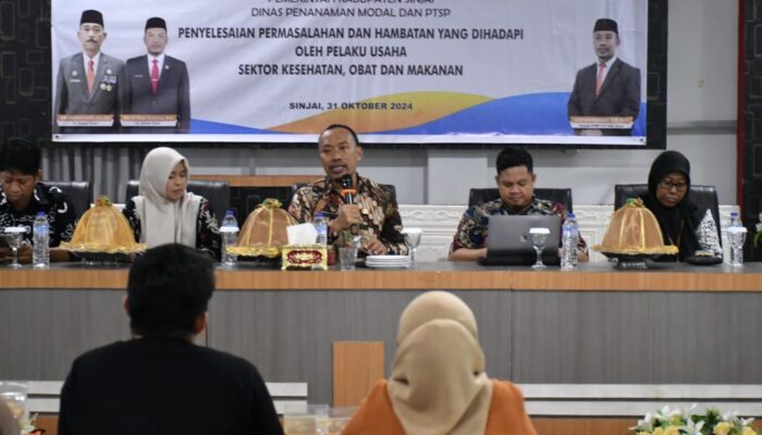 Beri Solusi Hambatan yang Dihadapi Pelaku Usaha di Sinjai, Ini yang Dilakukan DPMPTSP