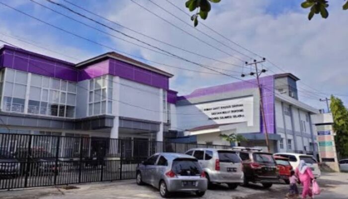 HUT ke-355 Sulsel, Pemprov Gelar Operasi Celah Bibir dan Celah Lelangit Gratis