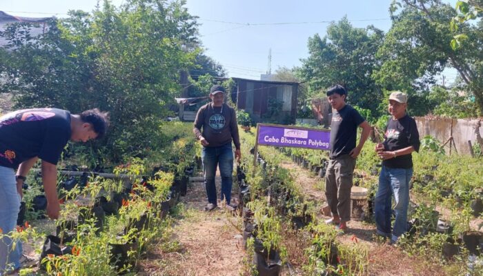 PJI Sulsel Bentuk Koperasi di Bidang Agrobisnis