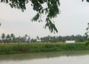 Pembangunan Masjid Cantik Padduppa Mangkrak, Siapa Yang Bertanggung Jawab ?