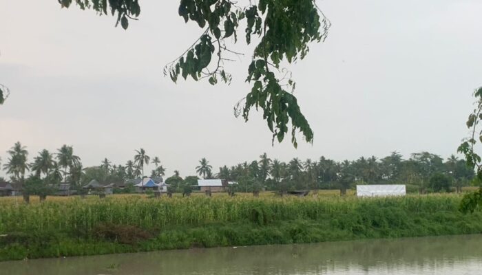 Pembangunan Masjid Cantik Padduppa Mangkrak, Siapa Yang Bertanggung Jawab ?