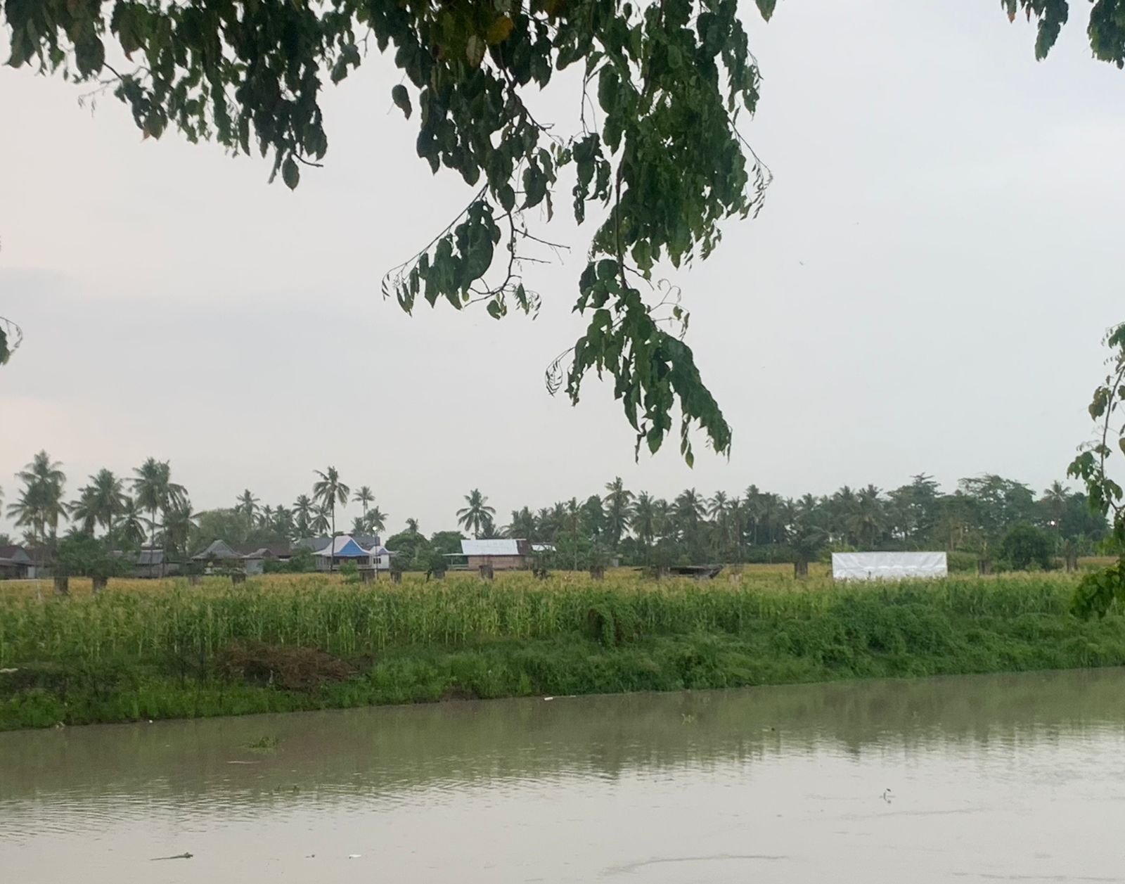 Pembangunan Masjid Cantik Padduppa Mangkrak, Siapa Yang Bertanggung Jawab ?
