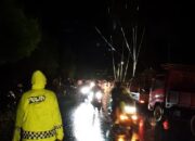 Cuaca Ekstrem, Pohon Tumbang dan Tiang Listrik Patah di Sampoddo