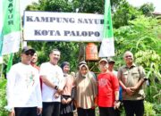 Kolaborasi Kampung Sayur, Solusi Sampah Plastik dan Ketahanan Pangan Palopo