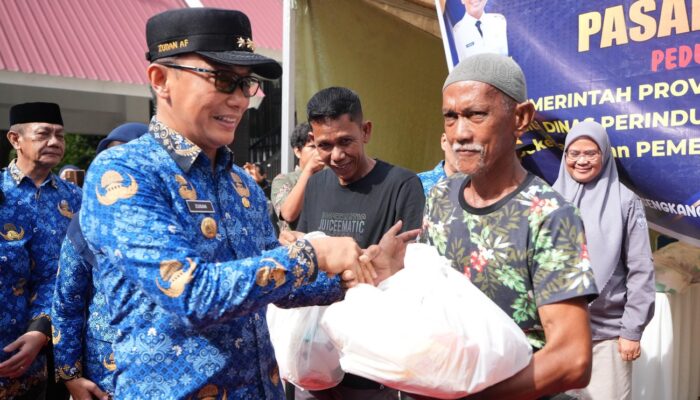 Pj Gubernur Sulsel Tinjau Pasar Murah dan Donor Darah di Wajo