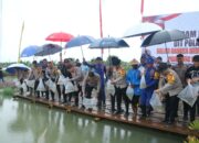 10 Ribu Benih Ikan Mas dan Nila Perkuat Ketahanan Pangan di Sulsel