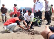 Tanam Pangan dan Inovasi Desa, Pj Bupati Pinrang Dorong Kemajuan Berkelanjutan