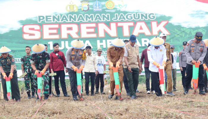 Kapolres Bone Bersama Forkopimda Luncurkan Penanaman Jagung Serentak 1 Juta Hektar untuk Ketahanan Pangan Nasional