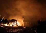 Kebakaran Hutan di Los Angeles Hanguskan Rumah Mewah Selebriti Hollywood