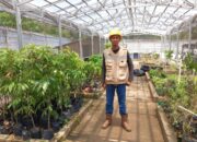 Green House PT BMS Dukung Penghijauan dan Keberlanjutan Lingkungan