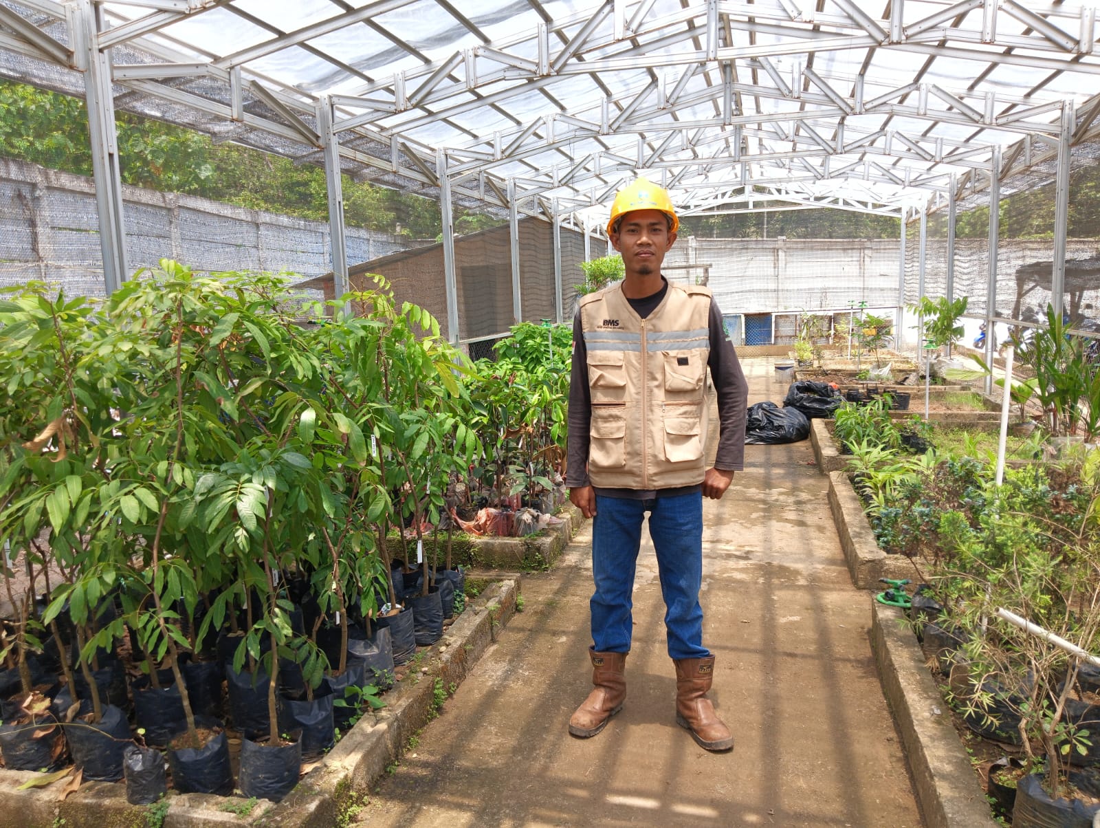 Green House PT BMS Dukung Penghijauan dan Keberlanjutan Lingkungan
