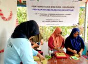 Program Pekarangan Pangan Lestari Pertamina Sulawesi, Dorong Ketahanan Pangan di Maros