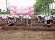 Wagub Sulsel Fatmawati Rusdi Apresiasi Program Pekarangan Pangan Lestari Polda Sulsel