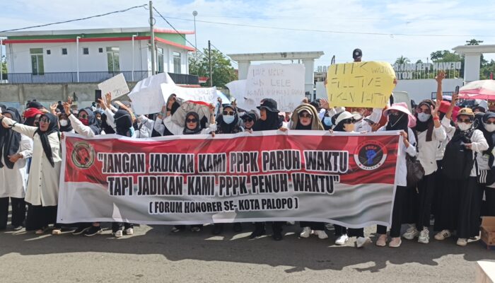 Gaji Rendah dan Status Tak Jelas, Ratusan Honorer Palopo Demo di Depan DPRD