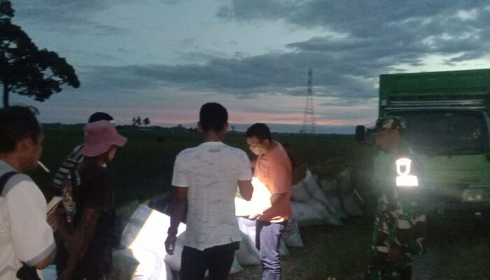 TNI dan Pemda Luwu Utara Kawal Harga Gabah